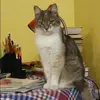Отзыв от Олеся Жукова